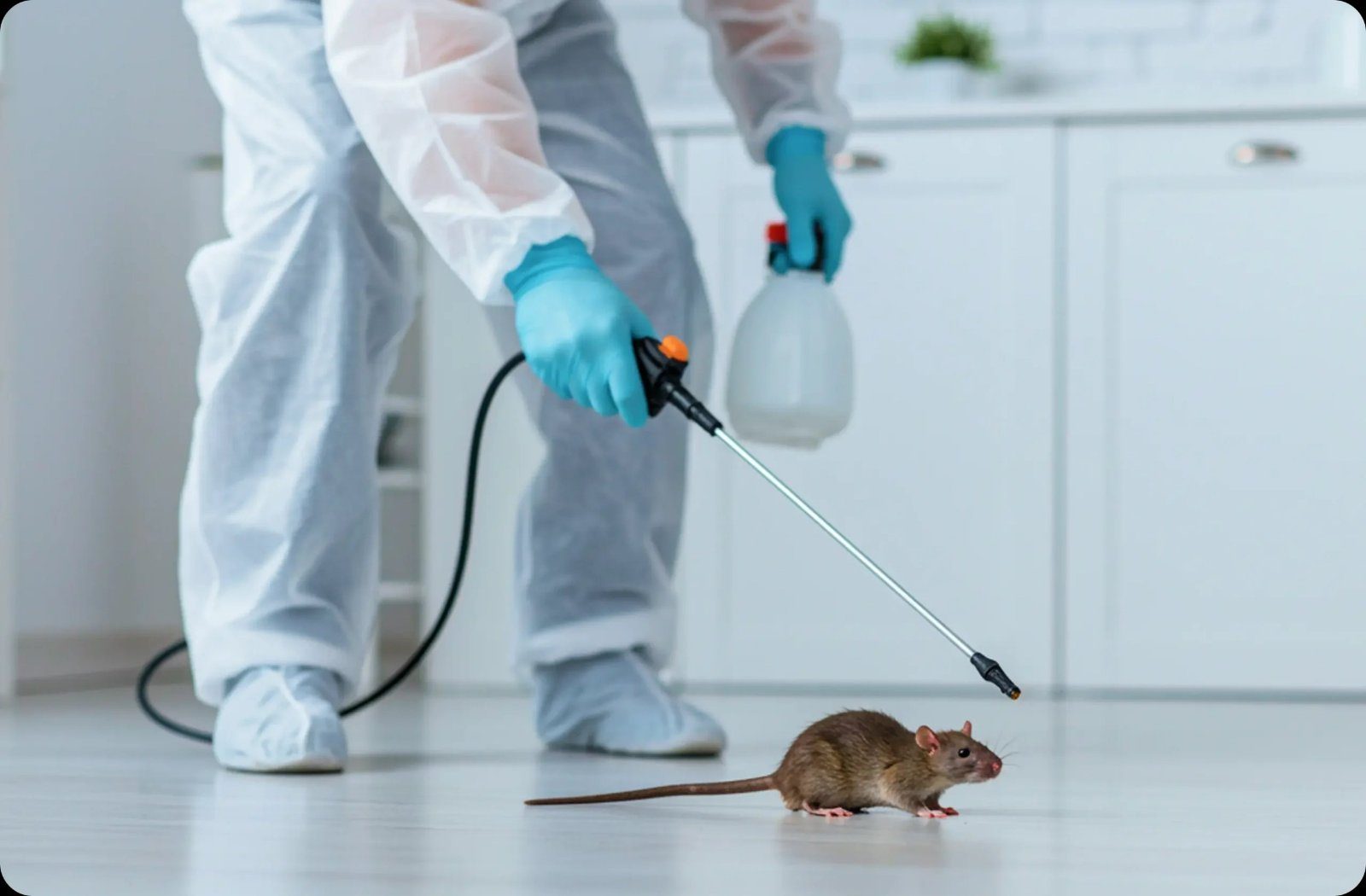 Rodent control