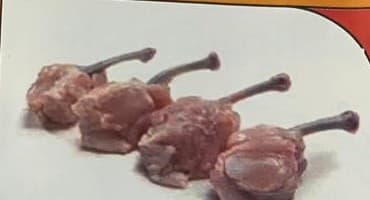 Chicken Lollipop