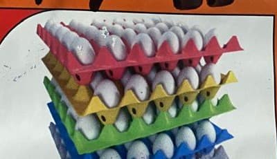 Eggs